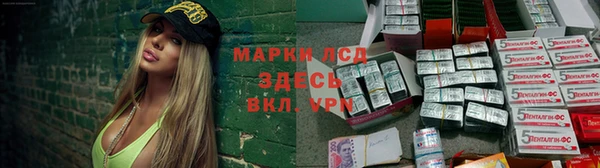 тгк Алзамай