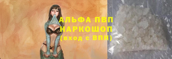 стаф Медвежьегорск