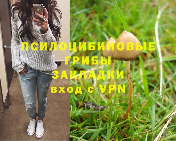 тгк Алзамай