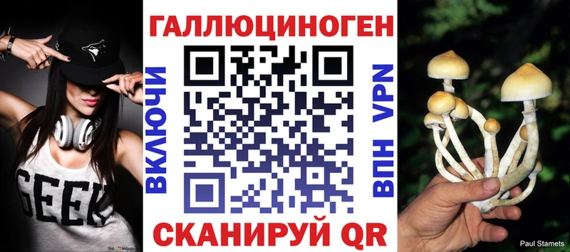 цена наркотик  KRAKEN вход  Галлюциногенные грибы GOLDEN TEACHER  Рубцовск 